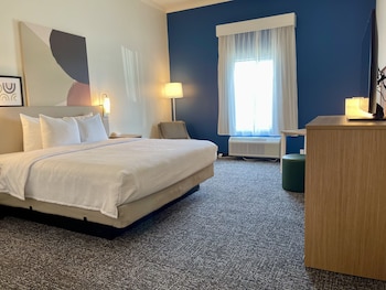 Room, 1 King Bed