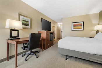 Standard Room, 1 King Bed, Accessible, Bathtub