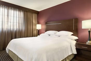 Suite, 1 King Bed with Sofa bed, Microwave