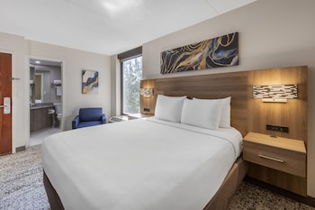Standard Room, 1 Queen Bed, Accessible, Non Smoking
