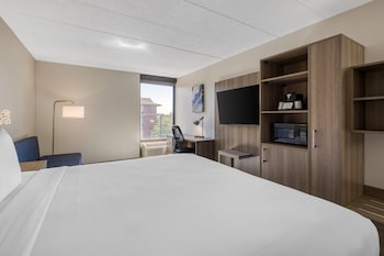 Standard Room, 1 King Bed, Non Smoking, Refrigerator (with Sofabed)