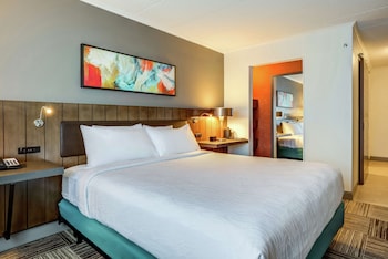 Room, 1 King Bed, Accessible