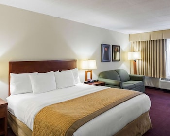 Standard Room, 1 King Bed with Sofa bed, Non Smoking