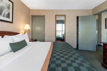 Suite, 1 King Bed, Non Smoking (One-Bedroom Suite)