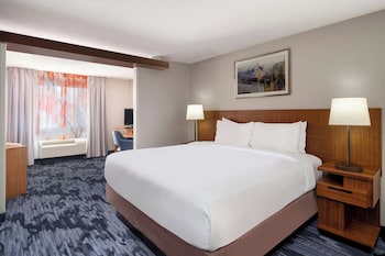 Suite, 1 King Bed with Sofa bed