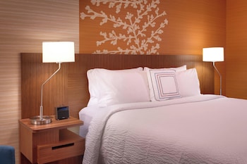 Room, 1 King Bed with Sofa bed