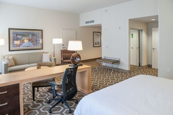 Studio Suite, 1 King Bed with Sofa bed, Accessible (Roll-in Shower)