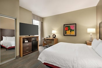 Studio Suite, 1 King Bed with Sofa bed, Accessible (Roll-in Shower)
