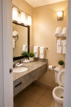 Premium Single Room, 1 King Bed, Non Smoking, Ensuite