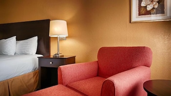 Single Room, 1 King Bed, Pets Allowed