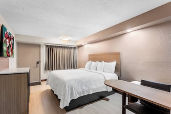 Premium Room, 1 King Bed (Smoke Free, Hypoallergenic)