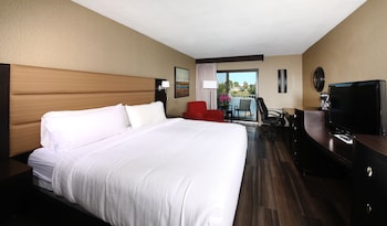 Suite, 1 King Bed