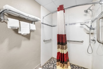 Superior Room, 1 King Bed, Accessible, Non Smoking (Roll-In Shower)