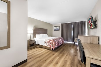 Superior Room, 1 King Bed, Accessible, Non Smoking (Roll-In Shower)