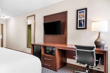 Standard Room, 1 King Bed, Non Smoking