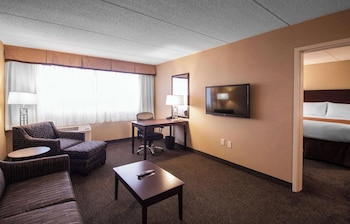 Suite, 1 King Bed with Sofa bed, Non Smoking (Efficiency, Upgrade)