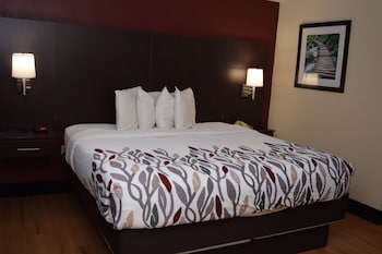 Superior Room, 1 King Bed, Non Smoking
