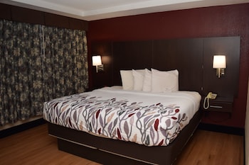 Superior Room, 1 King Bed, Non Smoking