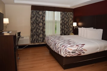 Superior Room, 1 King Bed, Non Smoking