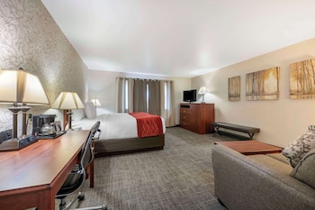 Standard Room, 1 King Bed with Sofa bed, Non Smoking, Refrigerator & Microwave (with Sofabed)