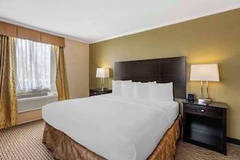 Standard Room, 1 King Bed