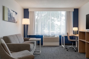 Suite, Accessible, Bathtub (Mobility & Hearing)