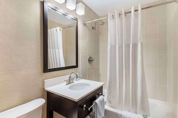 Suite, 1 King Bed with Sofa bed