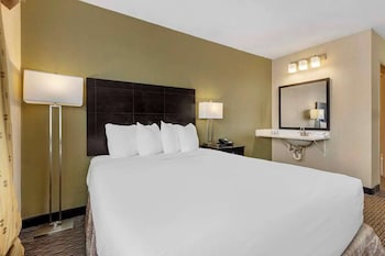 Standard Room, 1 King Bed