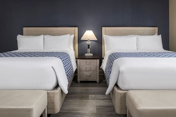 Suite, Multiple Beds, Oceanfront (Pet-Friendly)