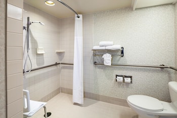 Room, 1 King Bed, Accessible (Roll-in Shower)