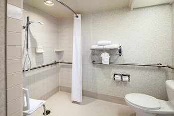 Premier Room, 1 King Bed, Accessible (Roll-in Shower)