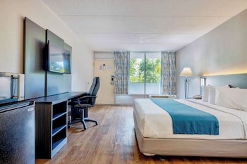 Deluxe Room, 1 King Bed, Non Smoking, Refrigerator & Microwave