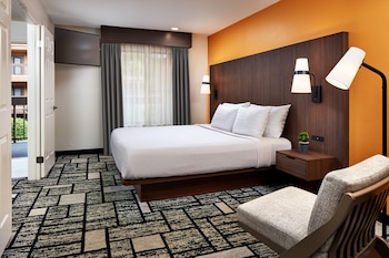 Suite, 1 King Bed, Non Smoking (Living Room;with Sofabed)