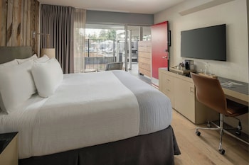 1 King Bed