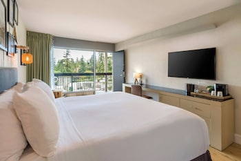 1 King Bed, Pool View