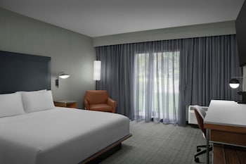 Room, 1 King Bed with Sofa bed (Mobility/Hearing Access, Roll-In Shwr)
