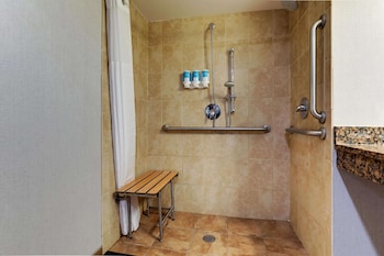 Room, 1 King Bed with Sofa bed, Hearing Accessible, Terrace (Terrace, Hearing Accessible)