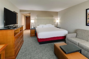 Room, 1 King Bed with Sofa bed (Sofa Sleeper)
