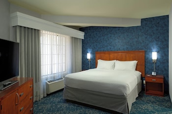 Studio, 1 King Bed with Sofa bed