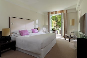 Room, 1 King Bed, Terrace, Park View