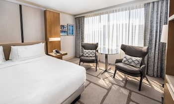 Room, 1 King Bed