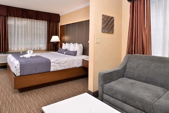 Standard Room, 1 King Bed, Non Smoking (with Sofabed)