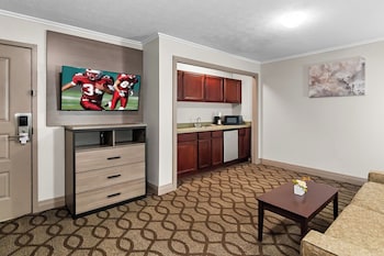Suite, 1 King Bed with Sofa bed, Non Smoking