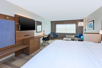 Suite, 1 King Bed with Sofa bed