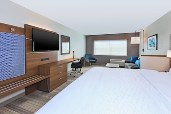 Suite, 1 King Bed with Sofa bed