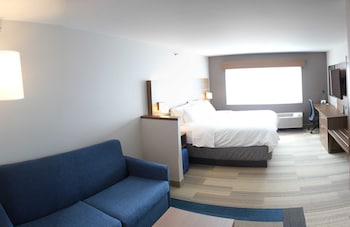 Suite, 1 King Bed with Sofa bed