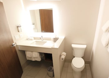 Suite, 1 King Bed with Sofa bed