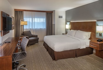 Room, 1 King Bed
