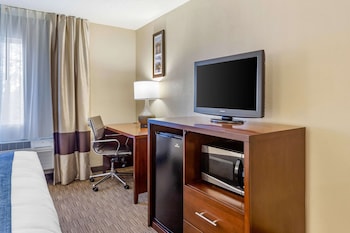 Suite, 1 King Bed with Sofa bed, Non Smoking