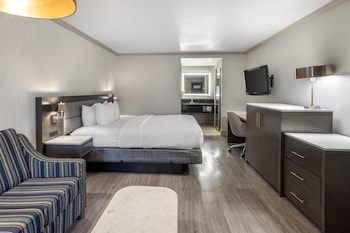 Standard Room, 1 King Bed, Non Smoking, Refrigerator & Microwave (with Sofabed)